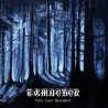 Temnohor (SVK) "Pýcha lesov karpatských" LP