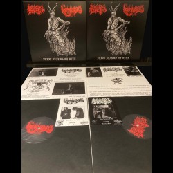 Regere Sinister / Moonfall - Eerie Realms of Hell, LP