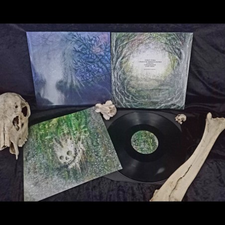 Tetrasigil (FIN) - Forest Storm, LP