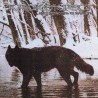 Крюкокрест (RUS) "Жестокость И Власть" LP